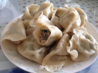 鲅鱼猪肉韭菜饺子的做法步骤:12