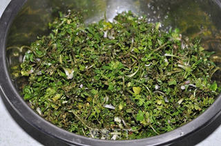 荠菜包子的做法步骤:4