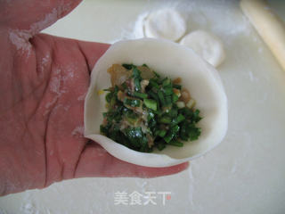 韭菜虾仁猪肉饺子的做法步骤:10