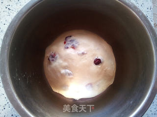 蔓越莓奶香小排包的做法步骤:5