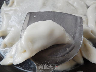 韭菜鲜肉水饺的做法步骤:19