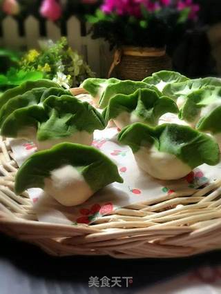 翡翠白菜水饺的做法步骤:18