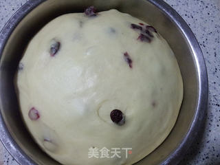 蔓越莓奶香小排包的做法步骤:6