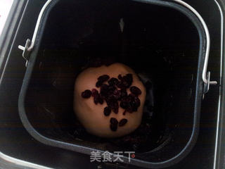 蔓越莓奶香小排包的做法步骤:4