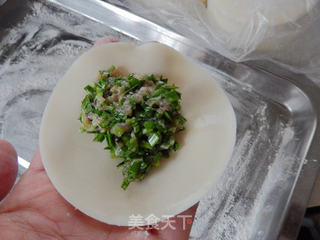 韭菜鲜肉水饺的做法步骤:13