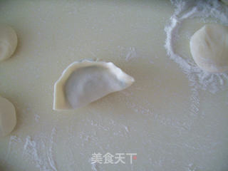 韭菜虾仁猪肉饺子的做法步骤:11