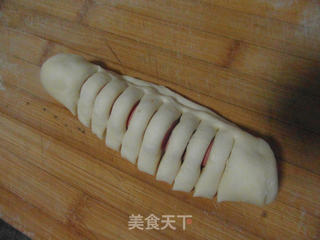 香肠餐包之花穗的做法步骤:4