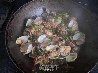 辣炒花蚬子的做法步骤:10