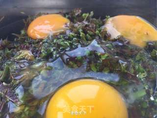 香椿蛋饼的做法步骤:2