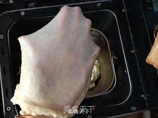 蓝莓土司的做法步骤:3