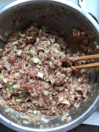 牛肉包子的做法步骤:5