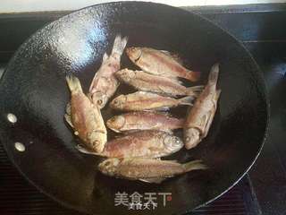 酒糟小鲫鱼的做法步骤:5