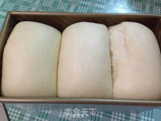 中种醇奶吐司的做法步骤:12