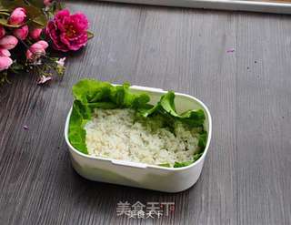 #春游便当#带着便当让我们快乐踏春去——小狮子便当的做法步骤:17