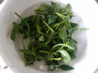 凉拌穿心莲的做法步骤:3