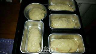 蜜豆面包的做法步骤：9