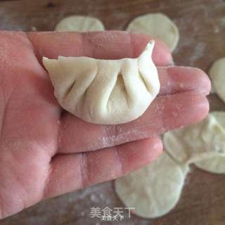 胡萝卜水饺的做法步骤:10