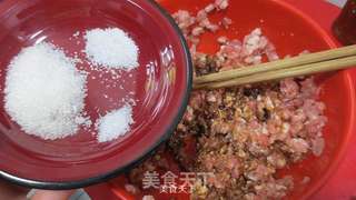 鲜肉锅贴的做法步骤:4