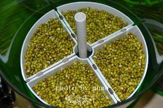 用自发豆芽炒细面的做法步骤:2
