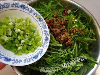肉末拌苦菊的做法步骤:16
