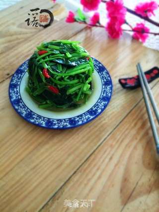 姜汁菠菜的做法步骤:8