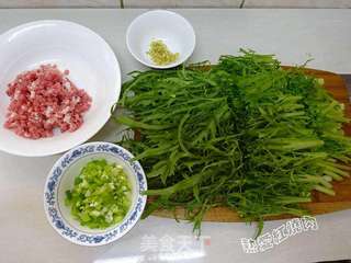 肉末拌苦菊的做法步骤:5