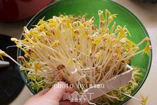 用自发豆芽炒细面的做法步骤:3