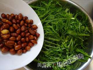 肉末拌苦菊的做法步骤:14