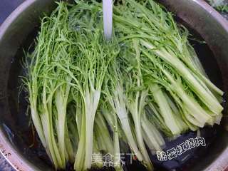肉末拌苦菊的做法步骤:4