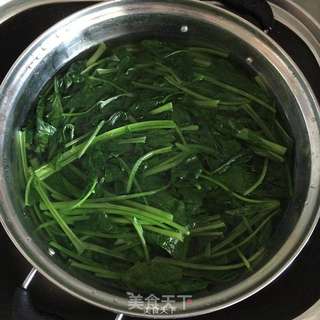 姜汁菠菜的做法步骤:4