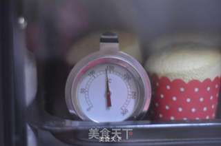 酸奶杯子蛋糕的做法步骤:15