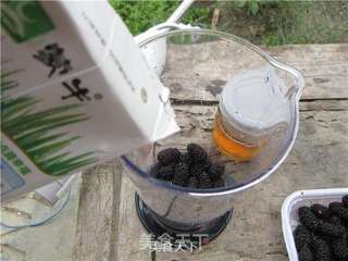 蜂蜜桑果奶昔的做法步骤:2