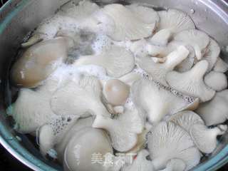 素炒平菇的做法步骤:3