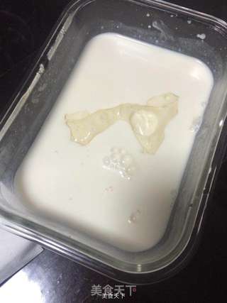 木瓜椰浆牛奶冻的做法步骤:5