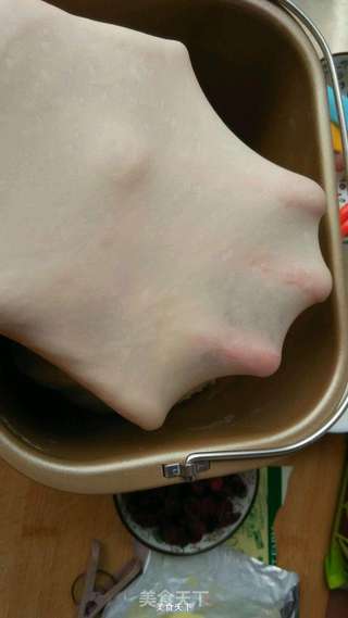 奶香蔓越莓吐司的做法步骤:6