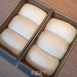 Amish White Bread～ (阿米什白吐司): （原方自：飞雪无霜老师）的做法步骤：1