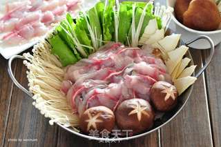 黑鱼番茄火锅的做法步骤:14