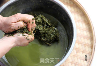解密壮族天然五色糯米饭做法的做法步骤:3