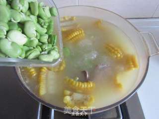 玉米蚕豆排骨汤的做法步骤:9