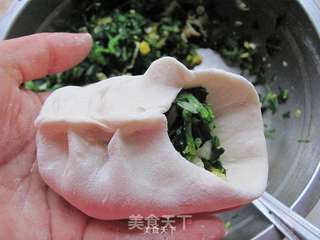 叶形苜蓿素包的做法步骤:8