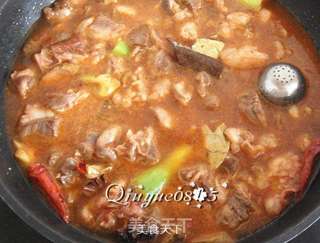 牛肉炖冻豆腐的做法步骤:9