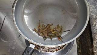 葱油老鸡的做法步骤:8