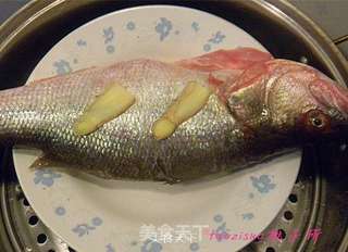 豉油蒸鲈鱼的做法步骤：3