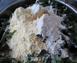 蒸蒲公英----金龙鱼香芝麻油体验报告的做法步骤:5