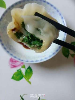 韭菜大肉饺儿的做法步骤:12