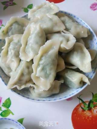 韭菜大肉饺儿的做法步骤:9