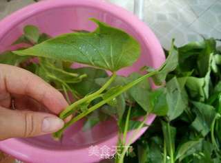 蒜蓉炒地瓜叶的做法步骤:2