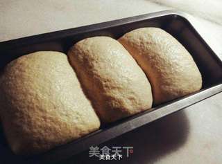 营养粗粮~全麦土司面包的做法步骤:7