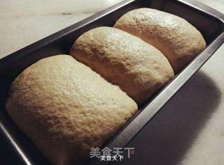 营养粗粮~全麦土司面包的做法步骤:8