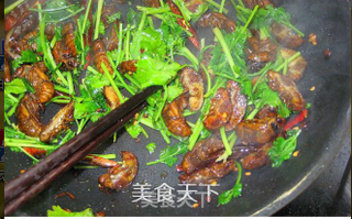 孜然金蝉的做法步骤：9